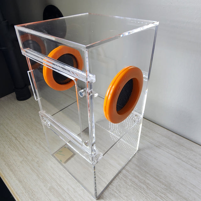 Medium Flat Top 4x4x8 Magnetic Front Opening Jumping Spider Enclosure