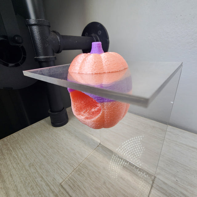 Screaming Pumpkin Nesting Hide for Jumping Spiders