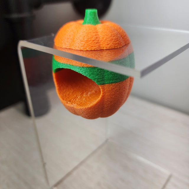 Screaming Pumpkin Nesting Hide for Jumping Spiders