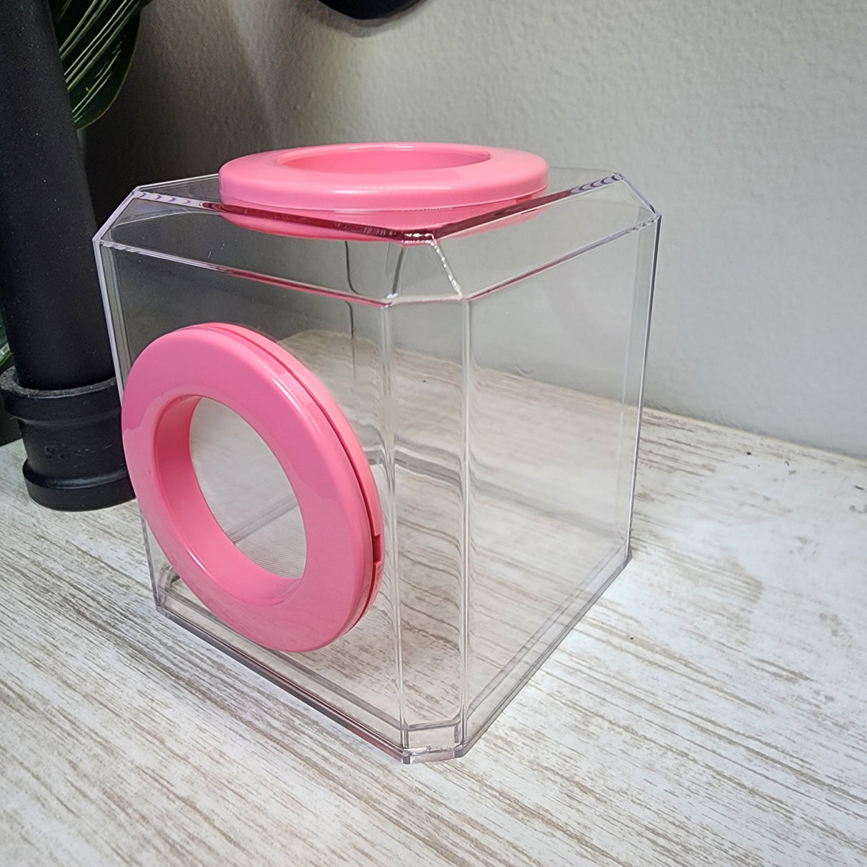 Mini Den Dual Vent 3x3x3 Jumping Spider Enclosure (holds fruit flies)