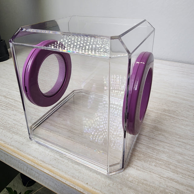 Mini Den Flat Top 3x3x3 Jumping Spider Enclosure (holds fruit flies)