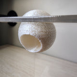 Textured Disco Ball Hide - Magnetic Spider Hide for Jumping Spiders