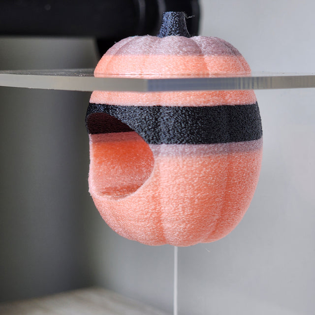 Screaming Pumpkin Nesting Hide for Jumping Spiders