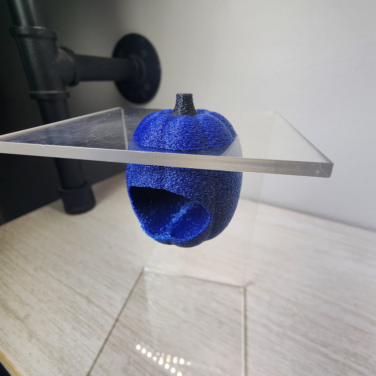 Baby Pumpkin Nesting Hides for Jumping Spiders