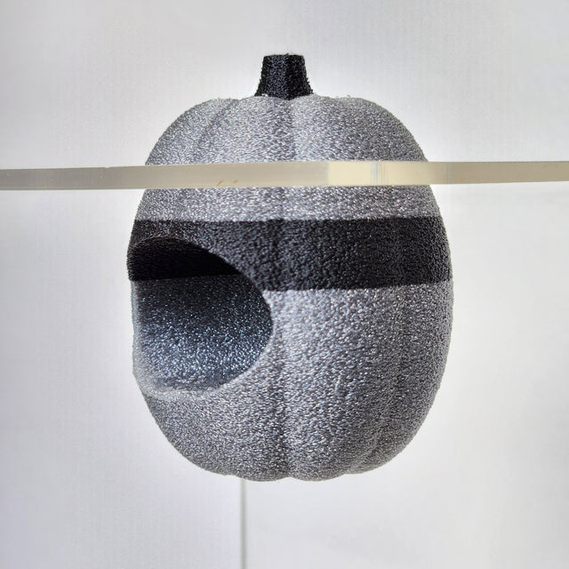 Screaming Pumpkin Nesting Hide for Jumping Spiders