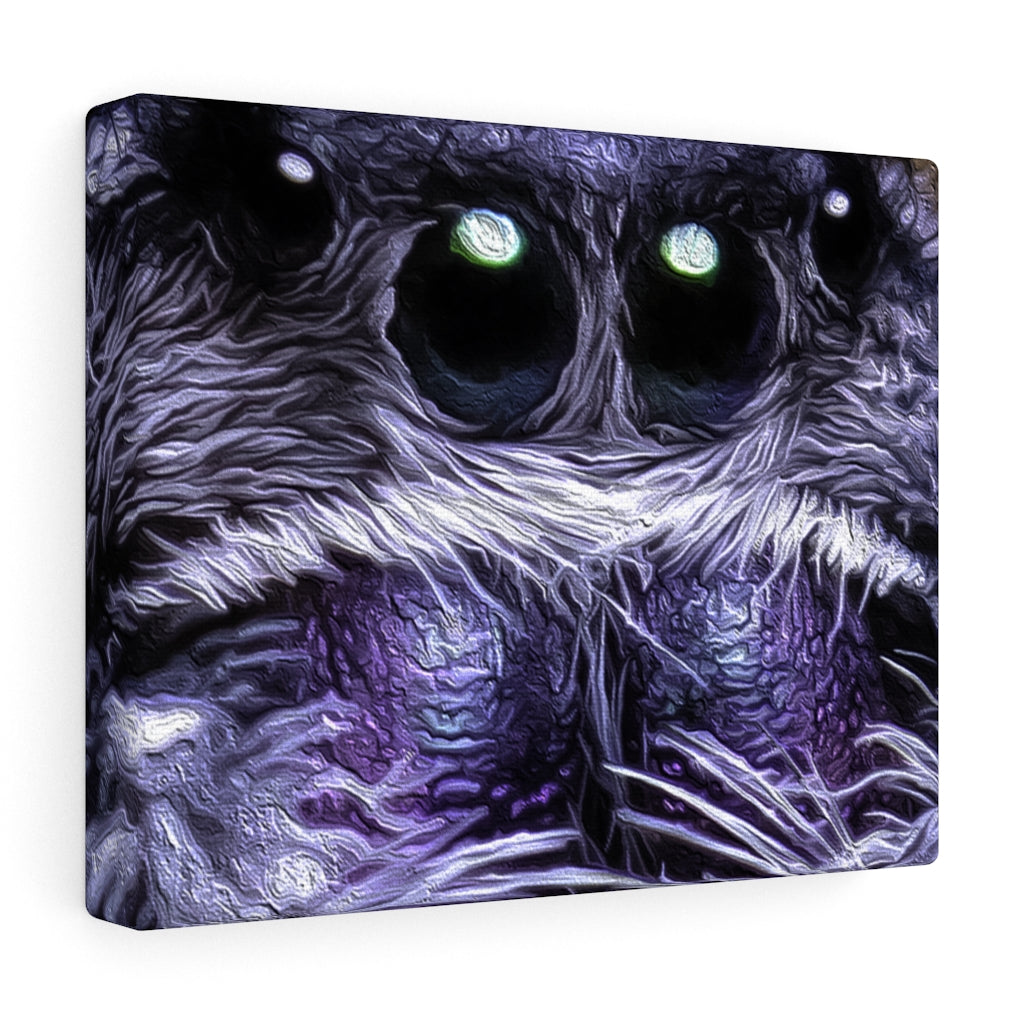 Canvas Gallery Wrap Featuring Black form Regal Jumping Spider