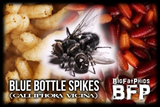 Blue Bottle Flies, Blue Bottle Spikes,Feeders for pet, spiders, reptiles and more