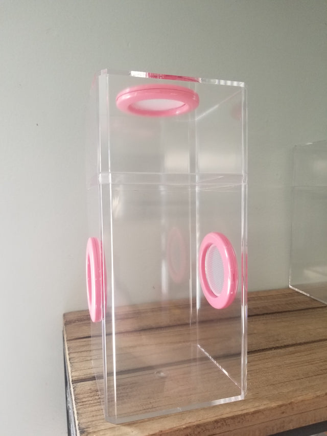 B-STOCK Classic Tri-Vent Spider Condo Jumping Spider Enclosure (holds fruit flies)