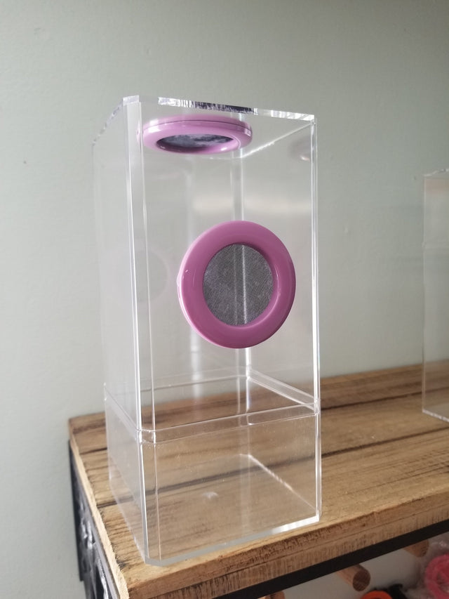 4x4x8.5 Flip-Top Dual-Vent Spider Condo Jumping Spider Enclosure (holds fruit flies) B-stock