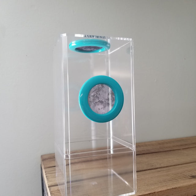 4x4x8.5 Flip-Top Dual-Vent Spider Condo Jumping Spider Enclosure (holds fruit flies) B-stock