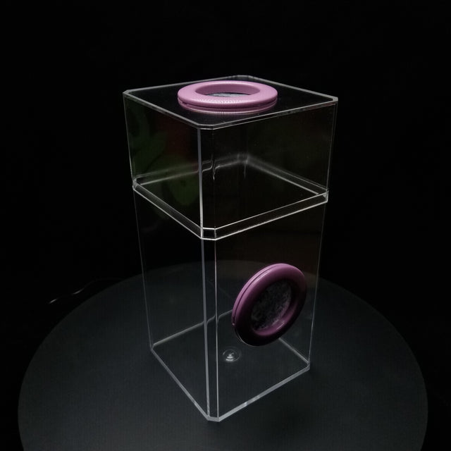 B-STOCK Classic Dual Vent Spider Condo Jumping Spider Enclosure (holds Fruitflies)