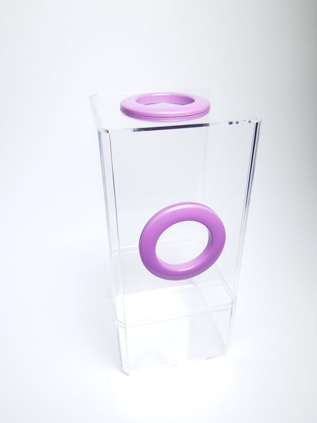4x4x8.5 Flip-Top Dual-Vent Spider Condo Jumping Spider Enclosure (holds fruit flies) B-stock