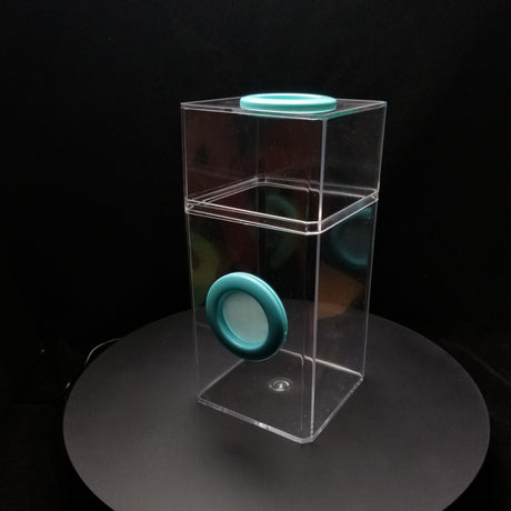 Jumping Spider Enclosure