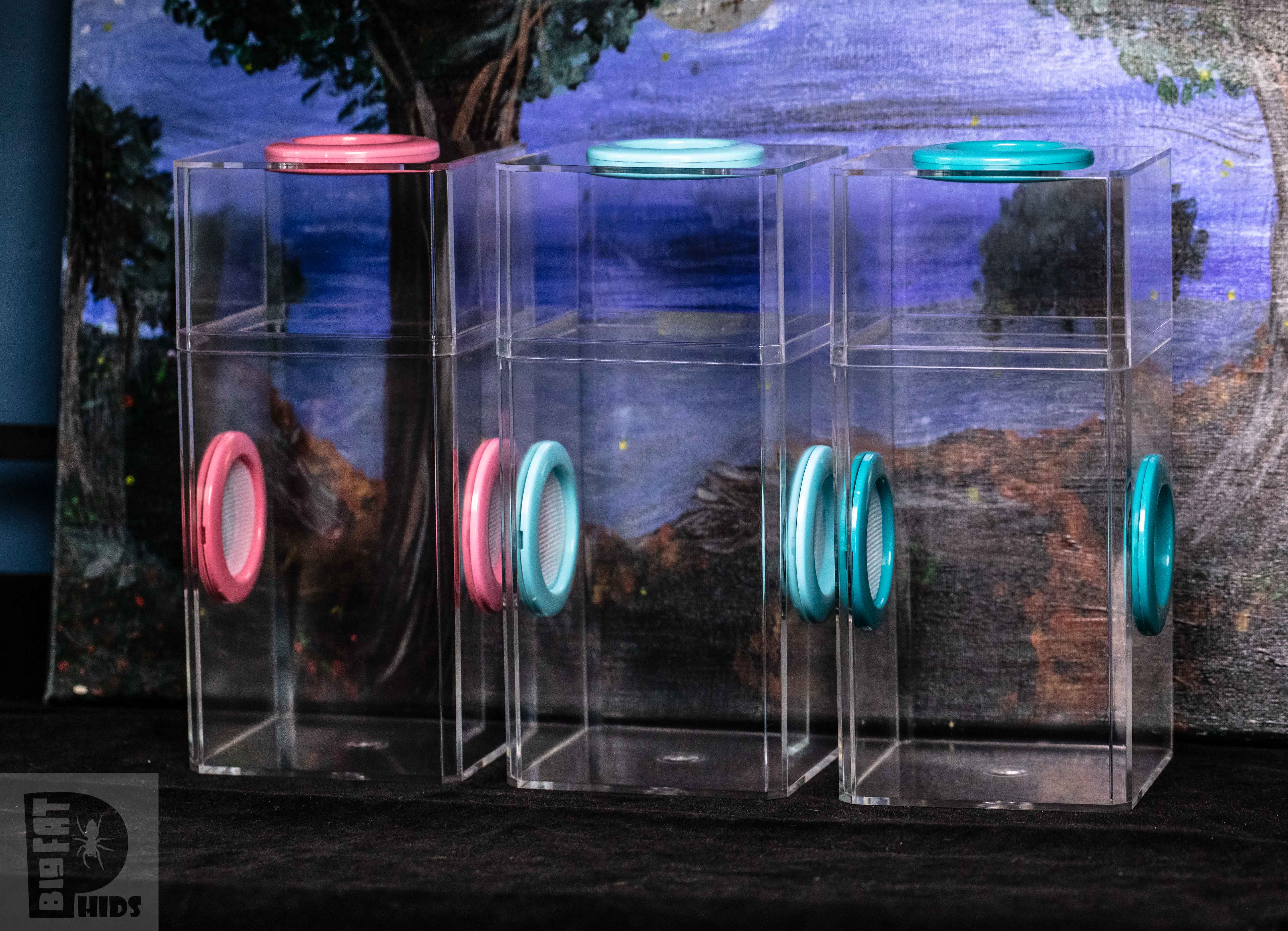 3 featured  Classic Spider Condo Jumping SPider Enclosures. These are leakproof so even melanogaster fruit flies don't leak out. 
