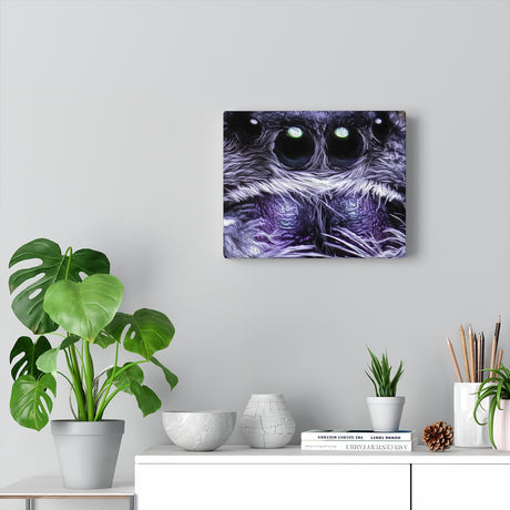 Canvas Gallery Wrap Featuring Black form Regal Jumping Spider